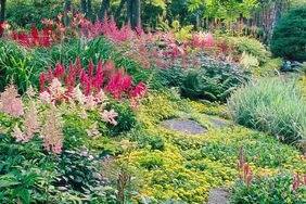 curved path through full shade garden