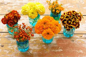 marigolds in glass vases