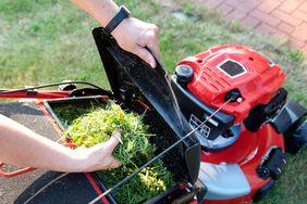 lawn mulch in lawnmower bag