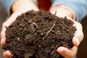 hands holding organic material for soil