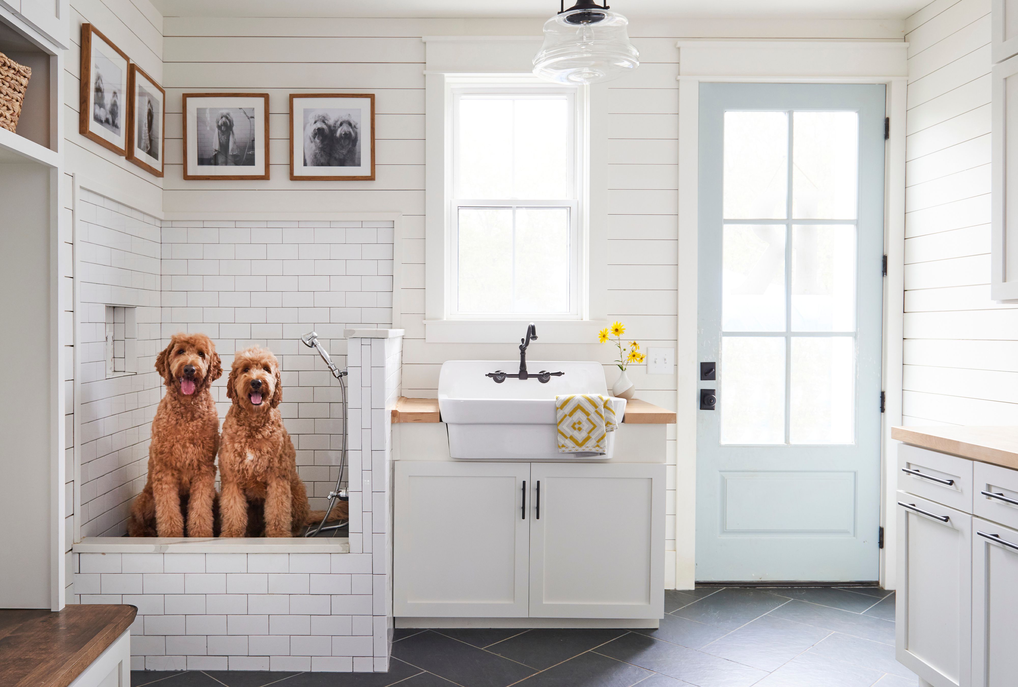 Two dogs in a small dog shower in a mud room