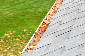 leaves in gutter on home