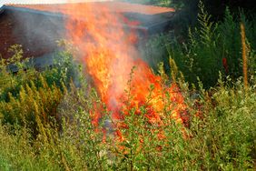 fire in brush near brick house