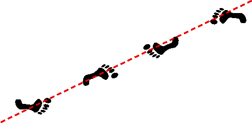 Ai hanmi Katate dori, form 1, position of feet