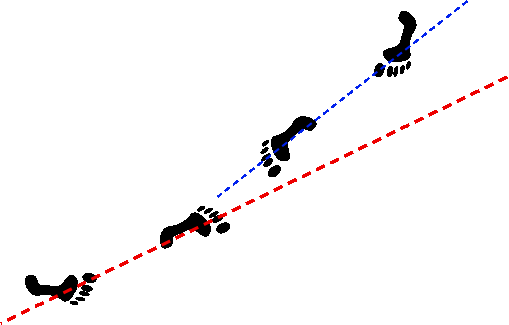 Gyaku hanmi Katate dori, position of feet