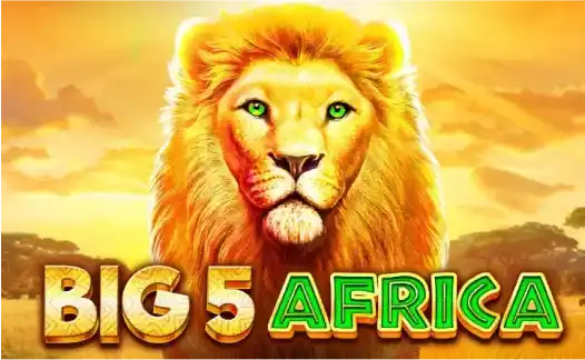 Big 5 Africa