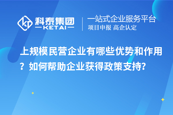 上规模民营企业有哪些优势和作用？如何帮助企业获得政策支持？