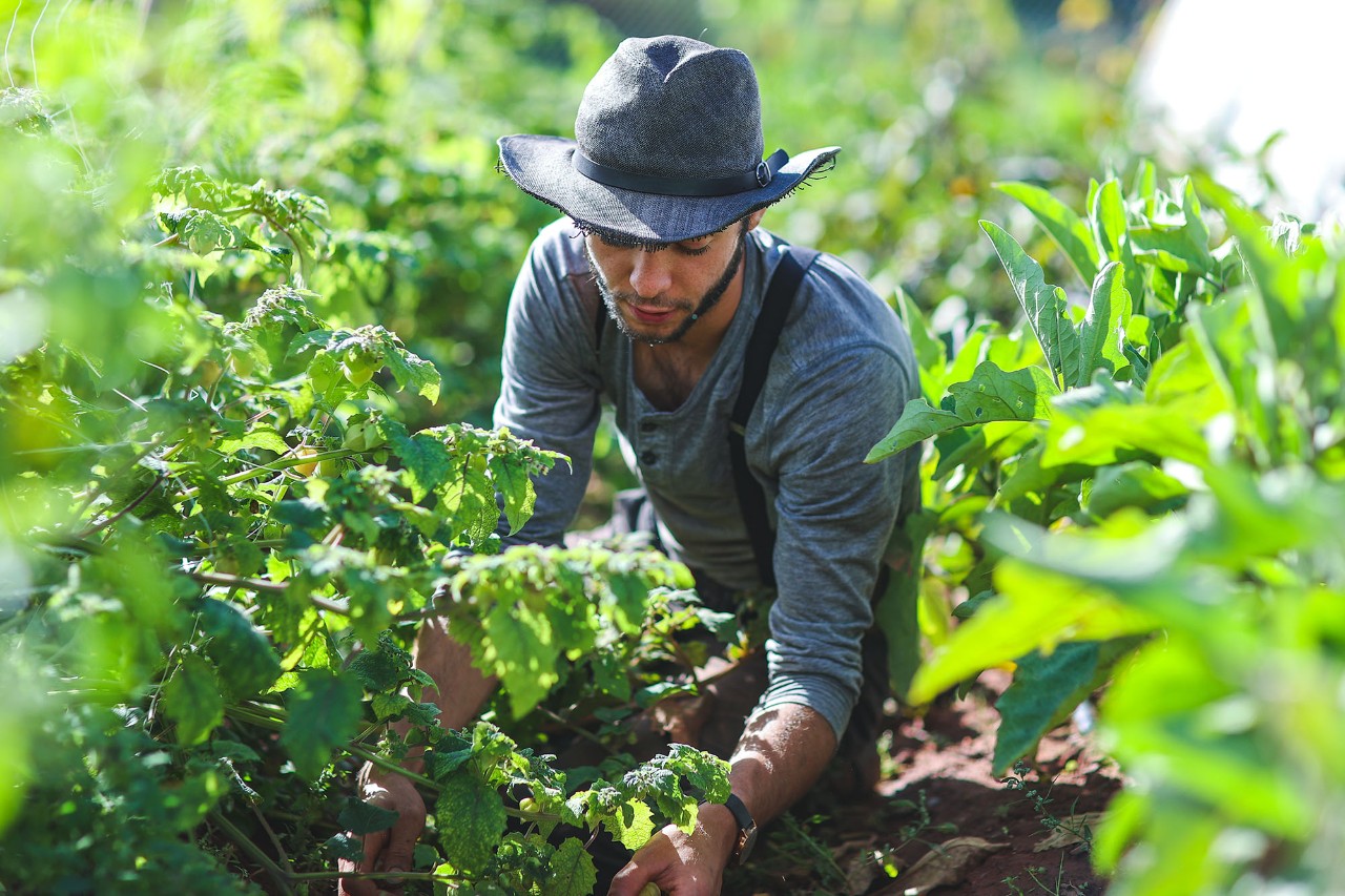 Student working in a garden on a plant Recruitment Campaign 2021