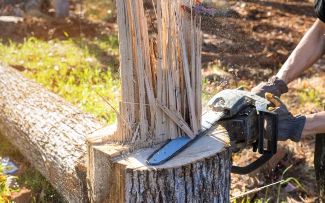 Person using a chainsaw to cut down damaged tree trunk after a natural disaster.