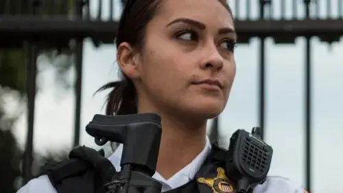 Woman guarding the White House