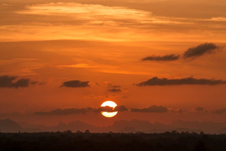 Sunset above the forest