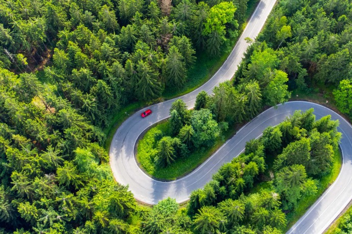 Road serpentine in the forest from above