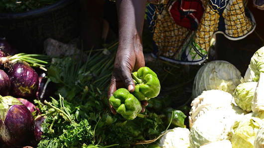 ©FAO/Carl de Souza