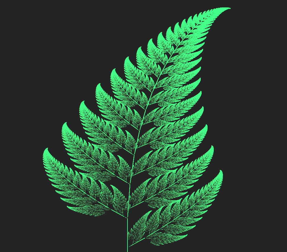 Barnsley Fern