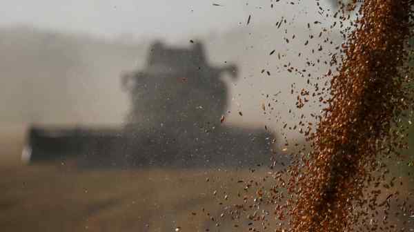 Wheat is loaded into a truck in Russia's Omsk region. Russia is the world's leading exporter of the grain.