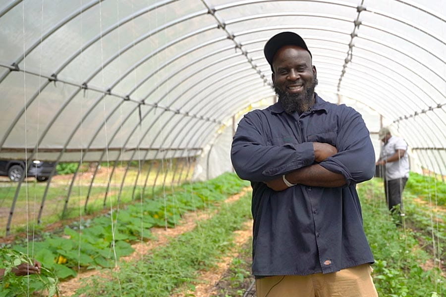 A man standing in rows of vegetable plants at Bread and Butter Farms