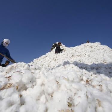 People work amidst massive piles of cotton in China's Xinjiang province. 