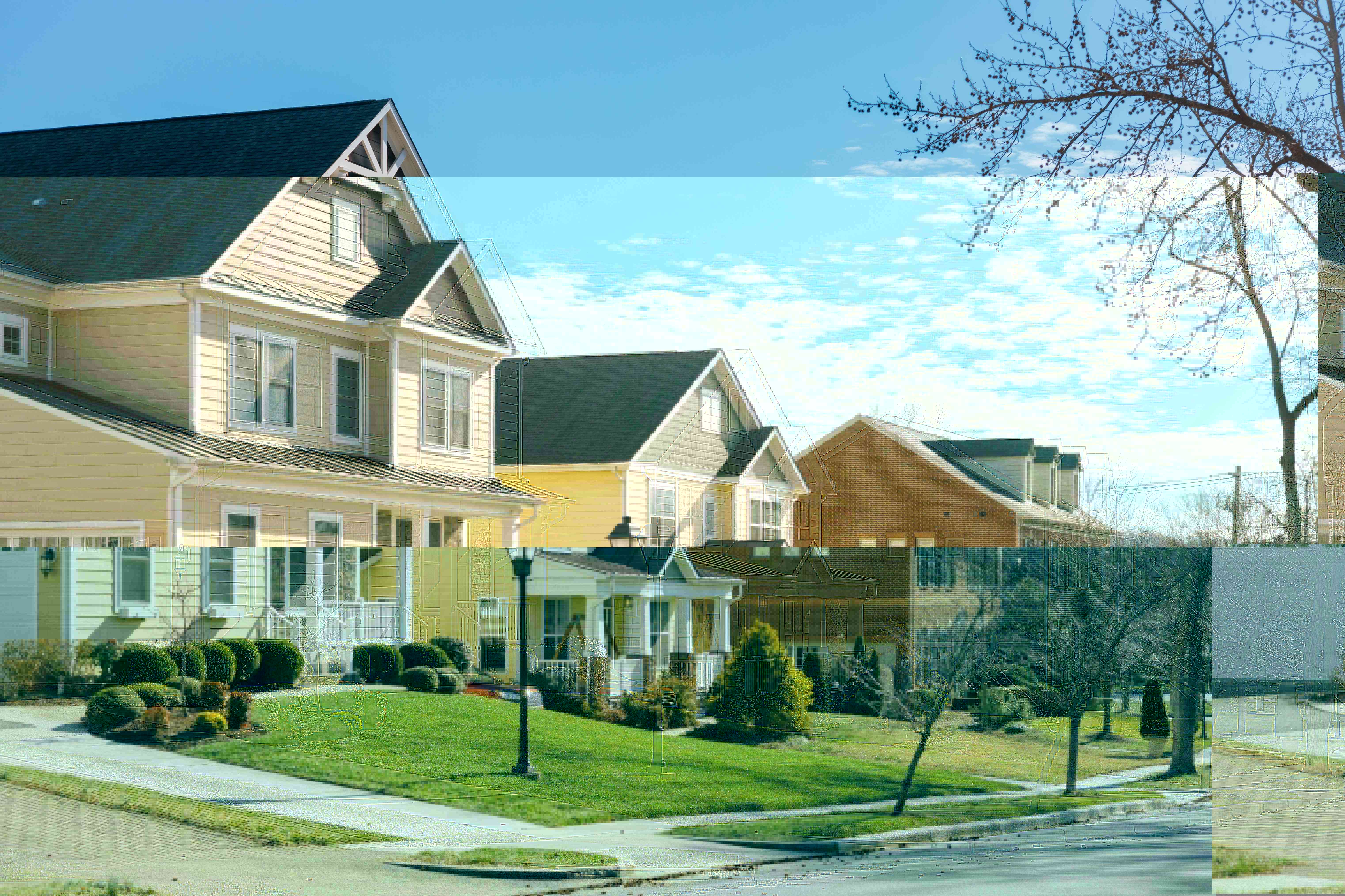 Street view of detached homes 