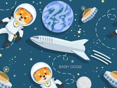 Baby Doge Meme Coin Illustration