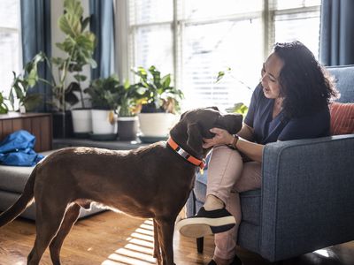 A seated woman gently grasps a brown labrador retriever's jowls. The woman is smiling and seems relaxed and at ease. Potted plants rest on a bench in front of a sunlit window.