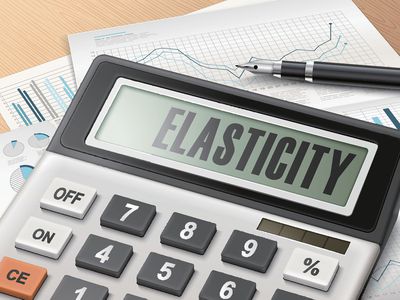 A Calculator That Says Elasticity on Paperwork