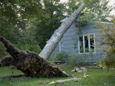 Large tree uprooted and leaning on roof of a house after a tornado hit