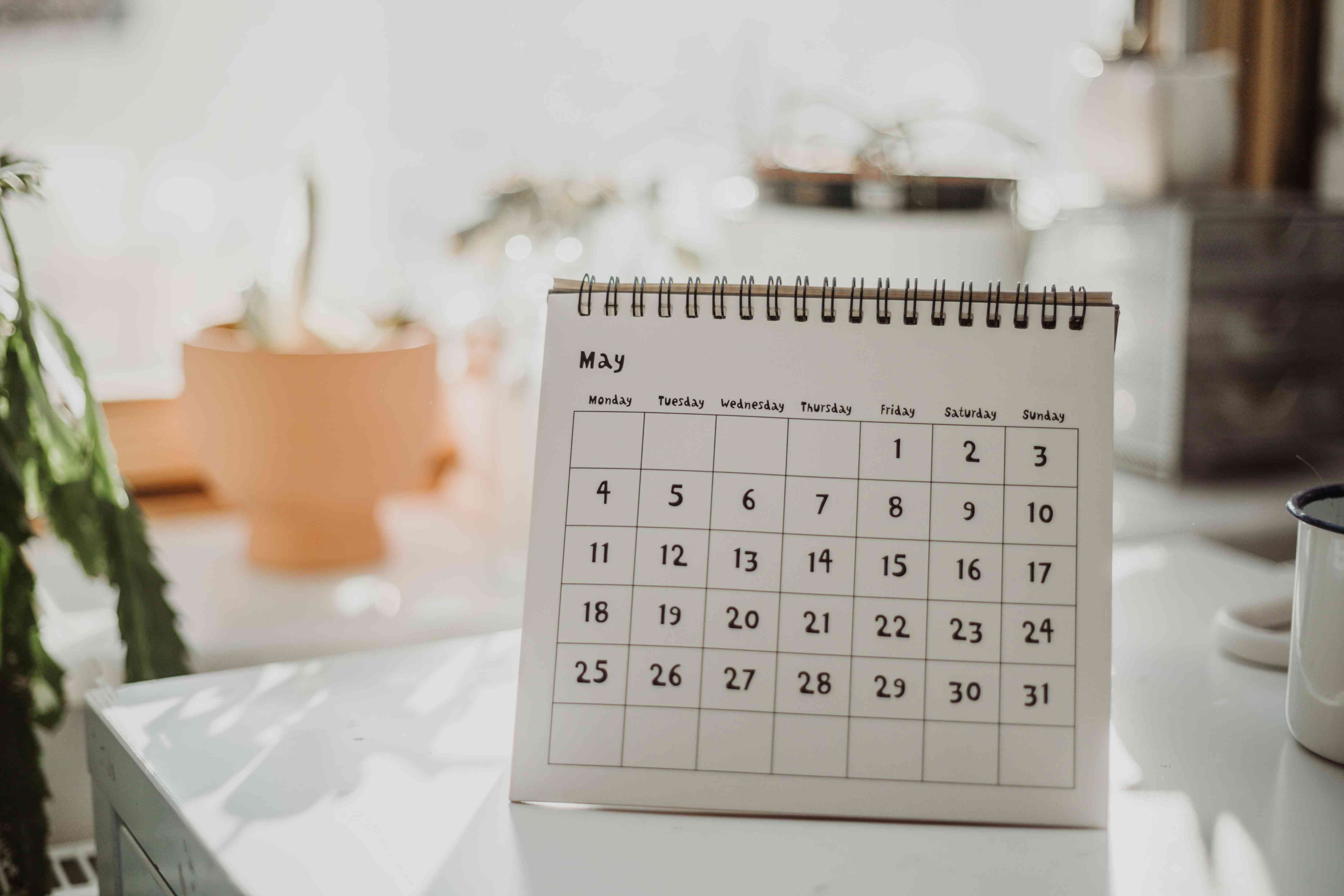 A calendar open to the month of May stands on a table, with a mug and plants in the background