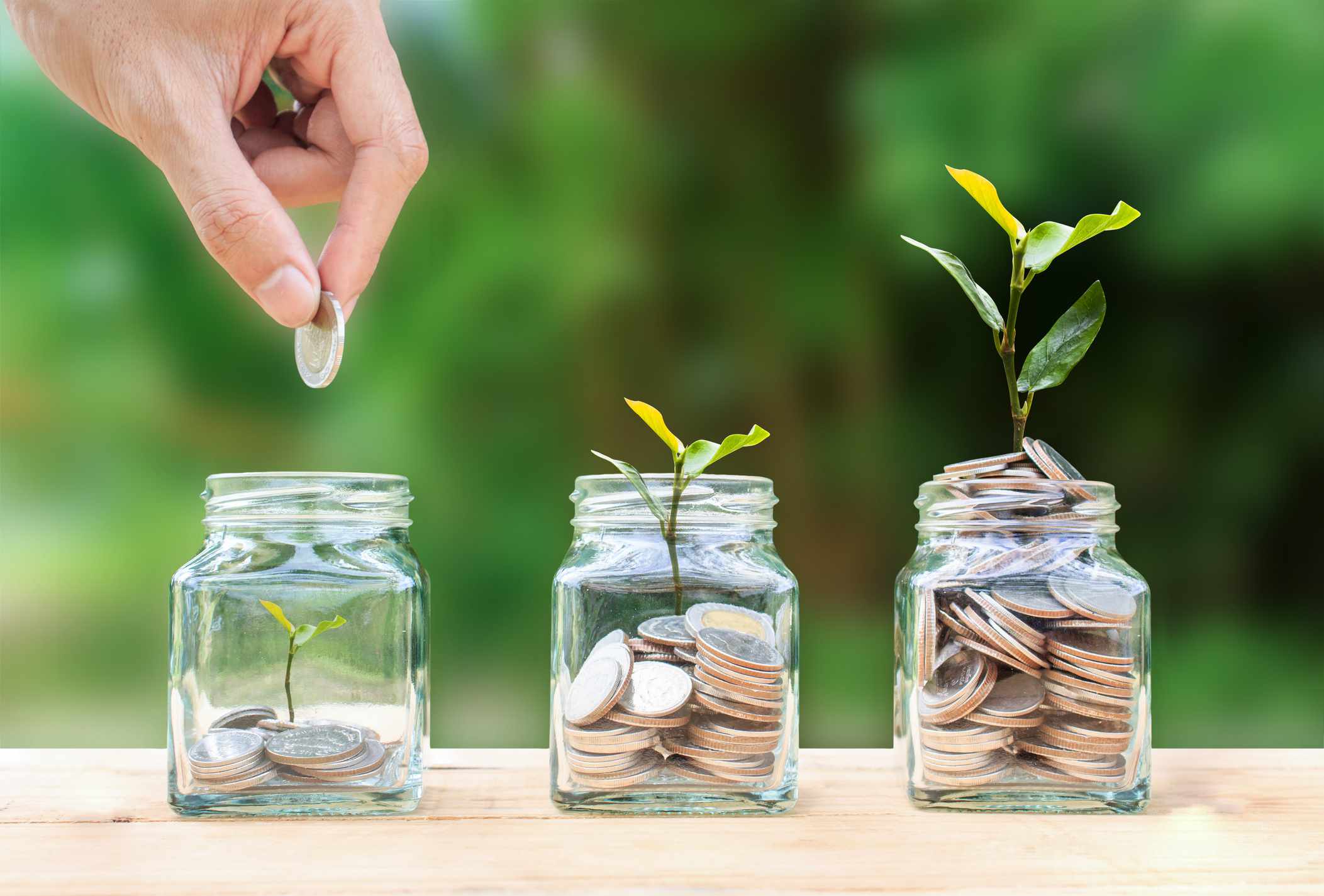 coins being dropped in a jar next to two other jars that have more coins and all three having a growing plant