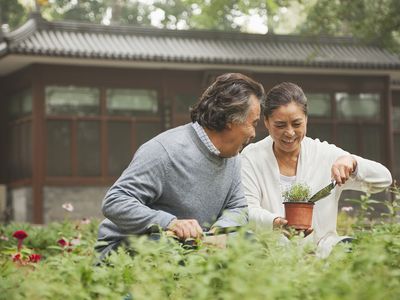 Smiling Older Couple in Garden