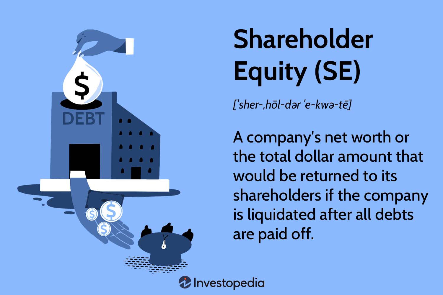 Shareholder Equity (SE)