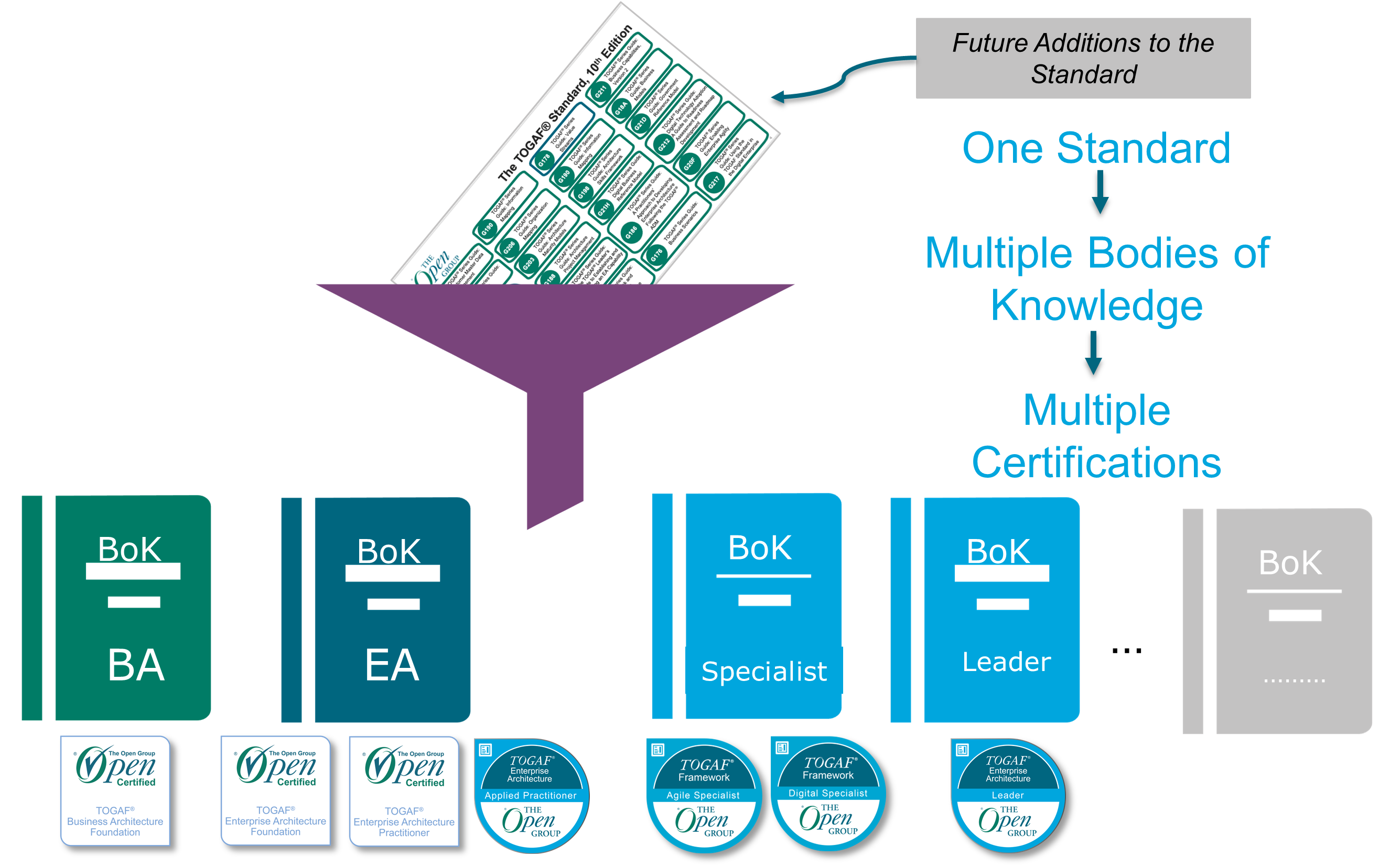 The TOGAF Bodies of Knowledge