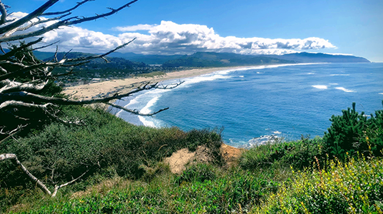 coastal view