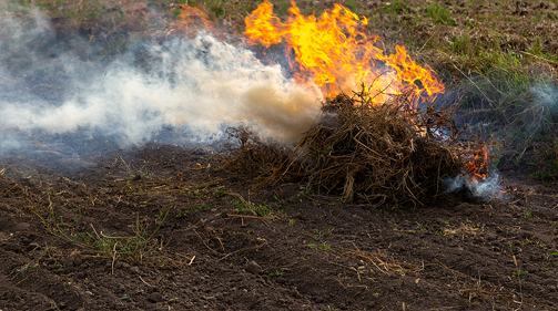 burning slash