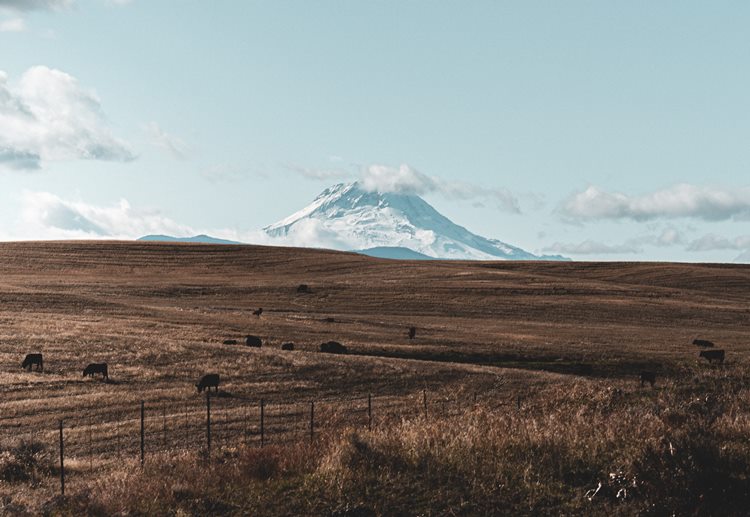 Farmland image