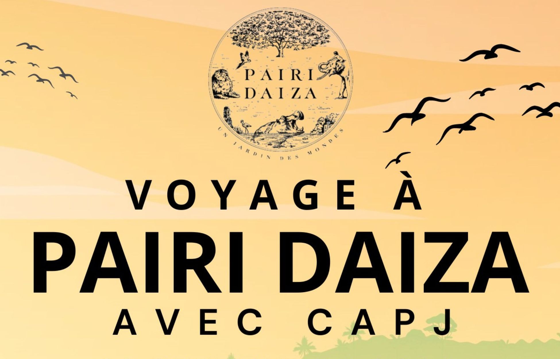 Voyage à Pairi-Daiza pour les élèves de primaire