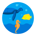 Blue sea turtle, yellow fish, and orange sea horse