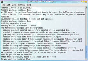 Updating via command line