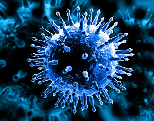 image of virus