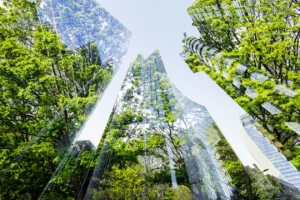 A decorative image of skyscrapers with trees reflected in them