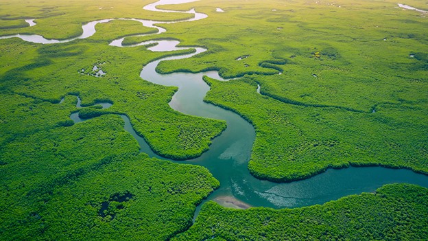 An overhead shot of a network of rivers and greenery