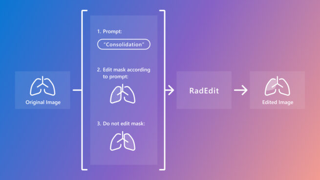 On the left is a simple drawing of the lungs. The drawing shows the borders of the left and right lung as well as the trachea and the left and right main stem bronchi. The text under the drawing reads: Original image. To the right of the drawing are the 3 additional inputs of RadEdit. They are arranged vertically. On top there is an example editing prompt. It reads 