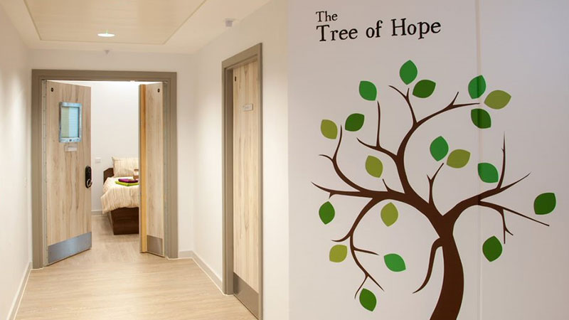 A hospital corridor with a Tree of Hope motif leads to brand-new single-occupancy rooms