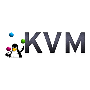 TNSR-KVM