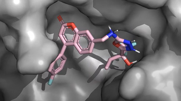 Train and Deploy Large Language Models for Drug Discovery