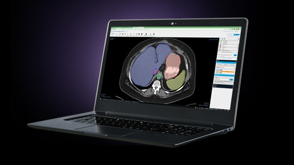 Train Medical Imaging Models Using Base Command