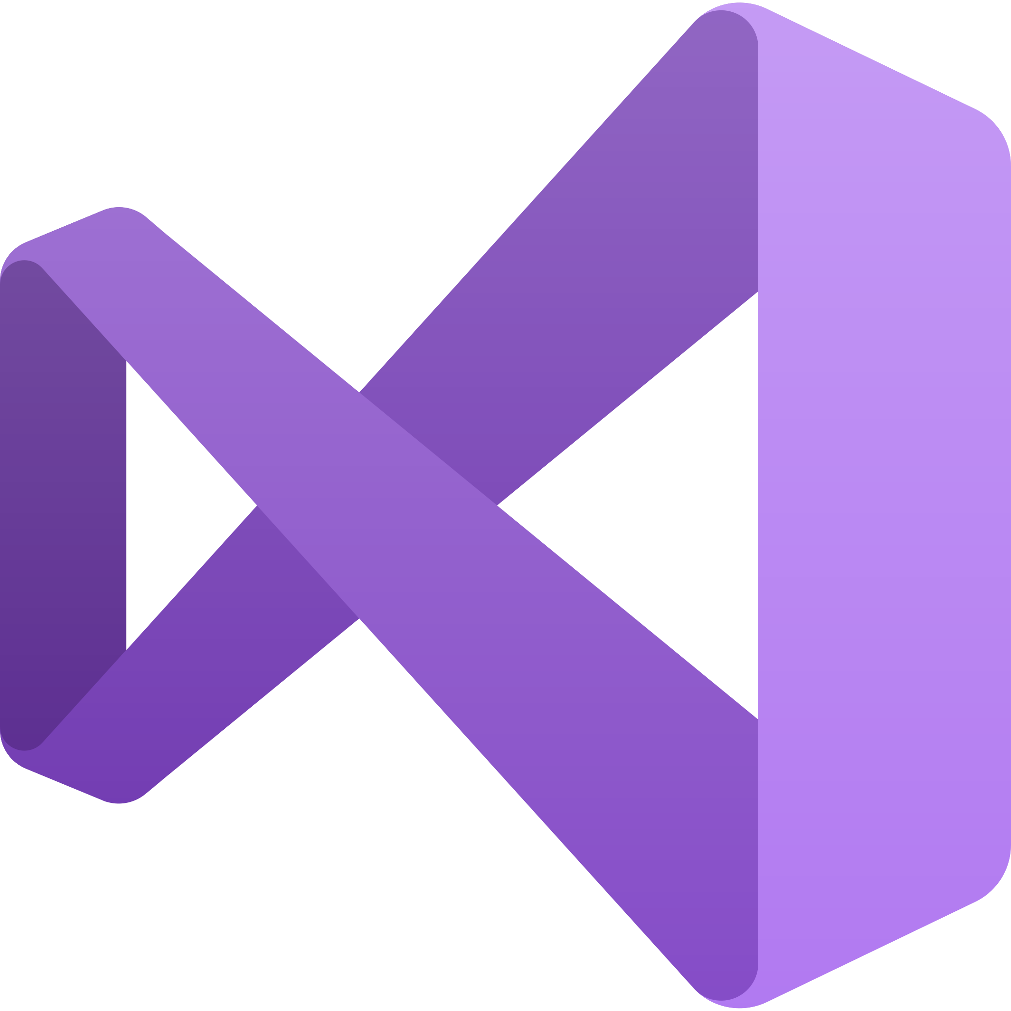 Microsoft Visual Studio logo