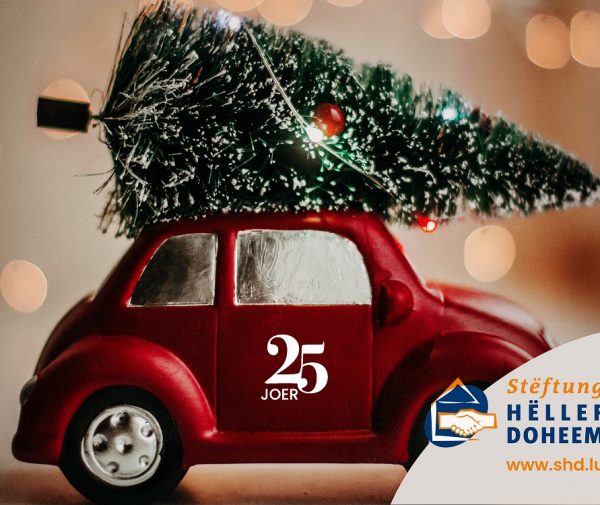 Voiture avec arbre de noel sur le toit, logoté 25 ans Stëftung Hëllef Doheem.