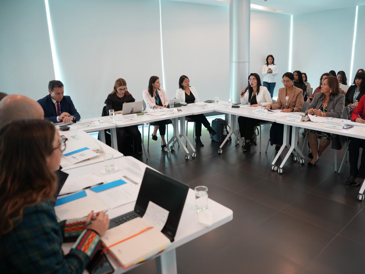 Members of the Spotlight Initiative steering committee speaking around a table