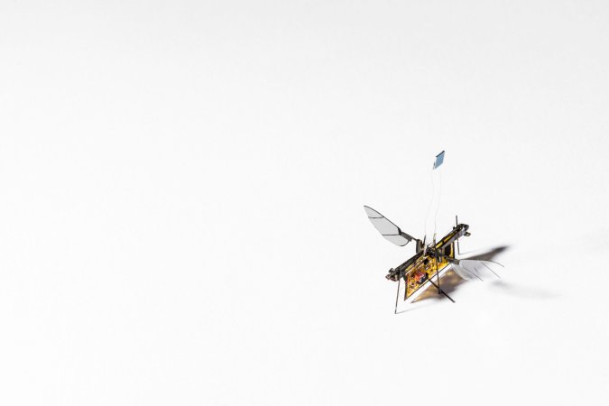 This tiny, laser-powered RoboFly could sniff out forest fires and gas leaks