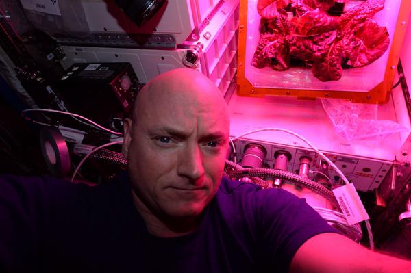 Selfie taken by Astronaut Scott Kelly with Space Station-Grown Lettuce